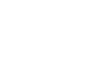 Dancing Bear Aspen